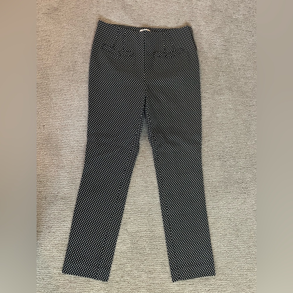 Anthropologie The Essential Slim Patterned Pants Size 6
